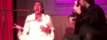 [ID: 02jJuvpcIdo] Youtube Automatic