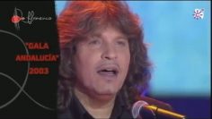 [ID: 0a20dMtBsAs] Youtube Automatic