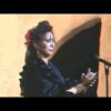 [ID: 0_Aj2-h4Lx8] Youtube Automatic