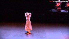 [ID: 0daFJ66vGOA] Youtube Automatic