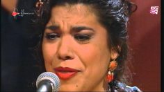 [ID: 0gFbLtNyAZc] Youtube Automatic