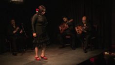 [ID: 0jC0wCBoMHE] Youtube Automatic