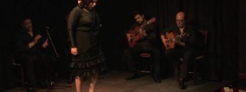 [ID: 0jC0wCBoMHE] Youtube Automatic