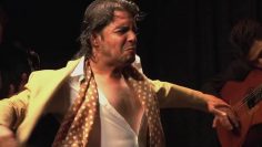 [ID: 0LzGSvt5jcs] Youtube Automatic