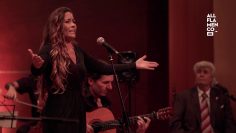 [ID: 0Medorq-DS0] Youtube Automatic