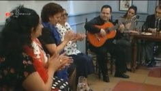 [ID: 0O_v1R6TLsA] Youtube Automatic