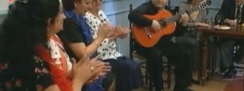 [ID: 0O_v1R6TLsA] Youtube Automatic