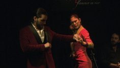 [ID: 0QywbIavlpk] Youtube Automatic