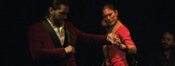 [ID: 0QywbIavlpk] Youtube Automatic