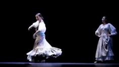 [ID: 0tb_GyQ_H4I] Youtube Automatic