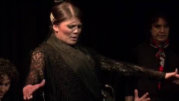 [ID: 0YEA2dFuKbU] Youtube Automatic