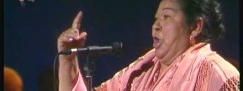 [ID: 0ZmPRhvjwsE] Youtube Automatic