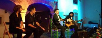 [ID: 16G9codpNkY] Youtube Automatic