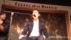 [ID: 17wXAv0L1i8] Youtube Automatic