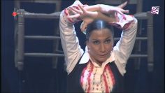 [ID: 1DAKPuZZSgY] Youtube Automatic