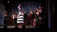 [ID: 1f-dKkNWv-M] Youtube Automatic