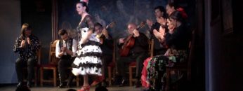 [ID: 1f-dKkNWv-M] Youtube Automatic