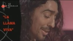 [ID: 1GiOEbDGudY] Youtube Automatic