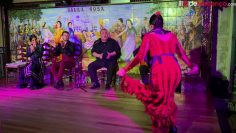 [ID: 1i7TaUscXiU] Youtube Automatic