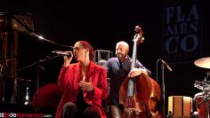 [ID: 1LWaVHZS1T0] Youtube Automatic