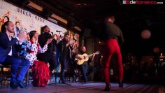 [ID: 1Nwv81mhm6A] Youtube Automatic