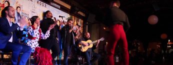 [ID: 1Nwv81mhm6A] Youtube Automatic