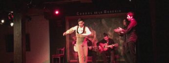 [ID: 1PTzTmWn_1M] Youtube Automatic