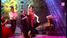 [ID: 1sMXUHs7oz0] Youtube Automatic