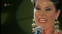 [ID: 1u71ES81xIk] Youtube Automatic