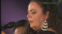 [ID: 1vtWx2G5Flo] Youtube Automatic