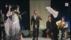 [ID: 1WoJI269-JM] Youtube Automatic