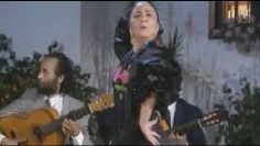 [ID: 1ypadJIhmek] Youtube Automatic