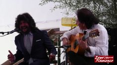 [ID: 28rrn50OVSs] Youtube Automatic