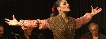 [ID: 2X_vDekSozw] Youtube Automatic