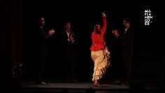 [ID: 33lzixvpyOM] Youtube Automatic