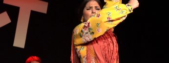 [ID: 34iQ11YB6s0] Youtube Automatic