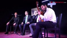 [ID: 359OHEswTgY] Youtube Automatic