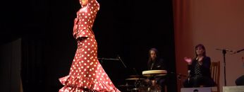 [ID: 3B7yEqkjzg8] Youtube Automatic