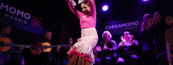 [ID: 3loh-2RO-yk] Youtube Automatic