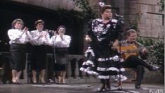 [ID: 3wR1fJo0gPE] Youtube Automatic