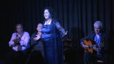 [ID: 3xEI741I3YU] Youtube Automatic