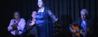 [ID: 3xEI741I3YU] Youtube Automatic