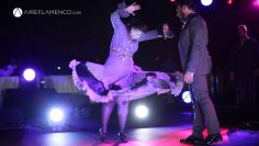 [ID: 3zKfM8RqnwI] Youtube Automatic