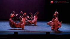 [ID: 434ZZakdqoA] Youtube Automatic