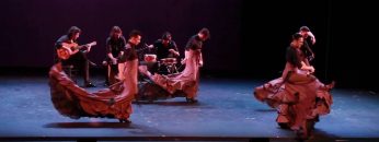 [ID: 434ZZakdqoA] Youtube Automatic