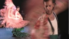 [ID: 44U0go9hyO0] Youtube Automatic