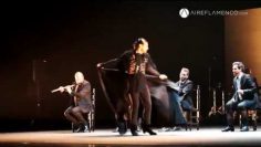 [ID: _4NETqGk8Cs] Youtube Automatic