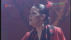 [ID: 4O6eU31Ct6Y] Youtube Automatic