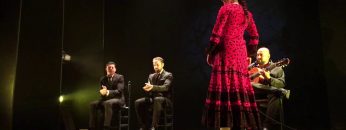 [ID: 4p-vVjUsH7w] Youtube Automatic