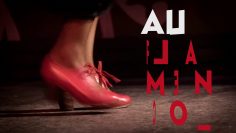 [ID: 4r9xo99FrGA] Youtube Automatic